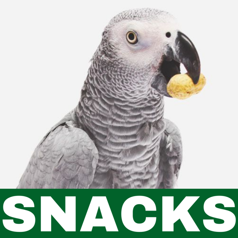 Fuglesnacks