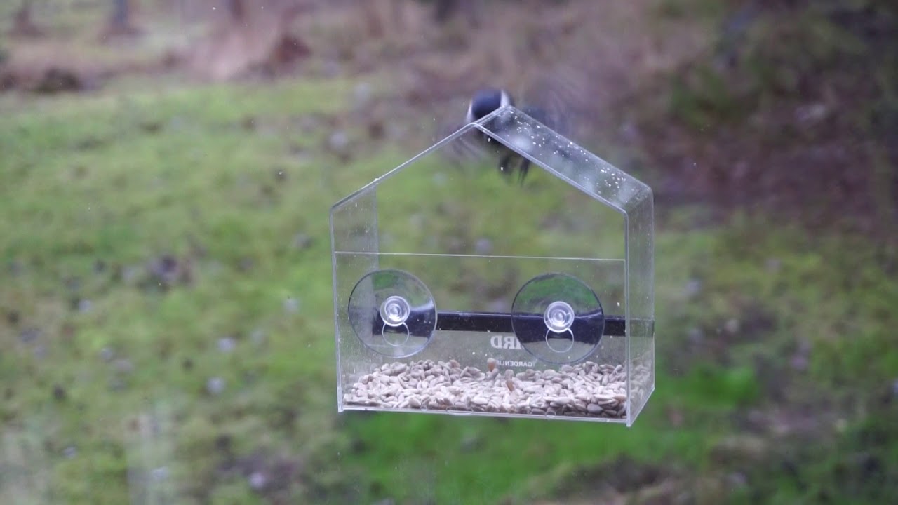De Tre Gylne Reglene for Plassering fugleautomat