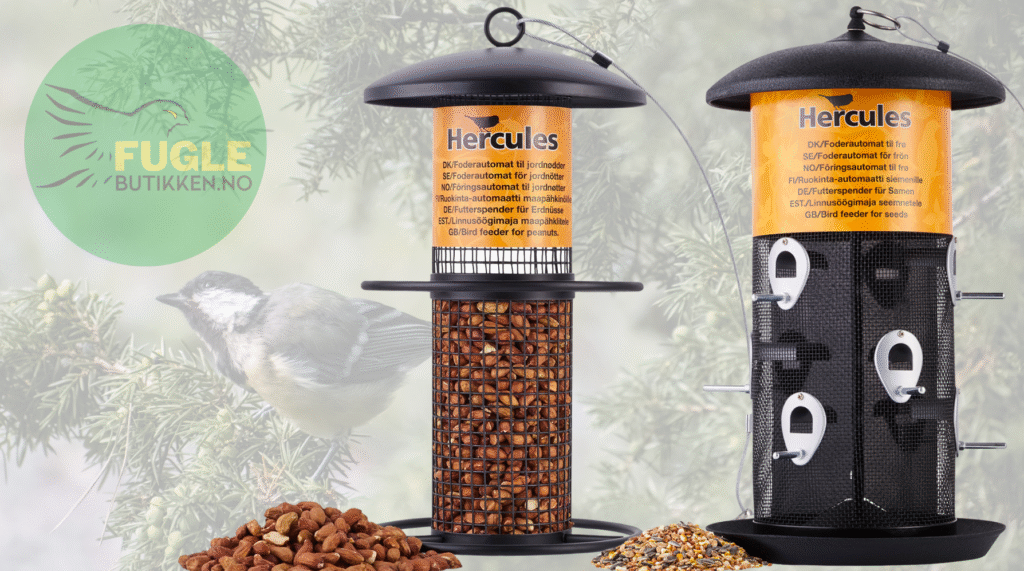 Fuglemater til Hagen Alt du Trenger å Vite om Plassering og Sikkerhet