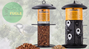 Fuglemater til Hagen Alt du Trenger å Vite om Plassering og Sikkerhet