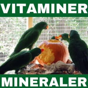 Fuglevitaminer og mineraler