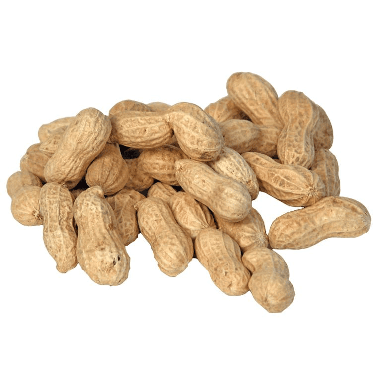 Peanøtter med skall 10 kg