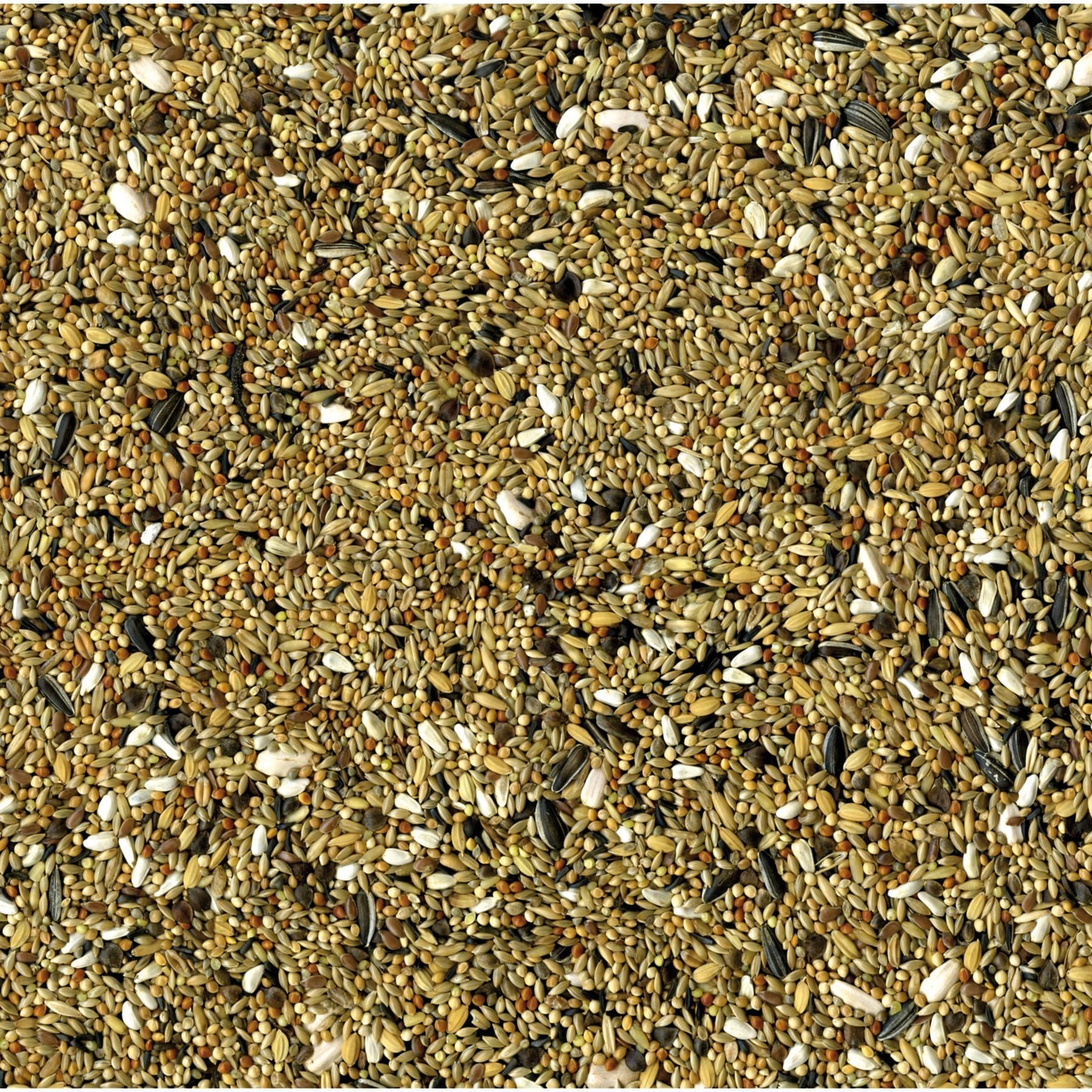 Parakittfor Vadigran Original 20 kg