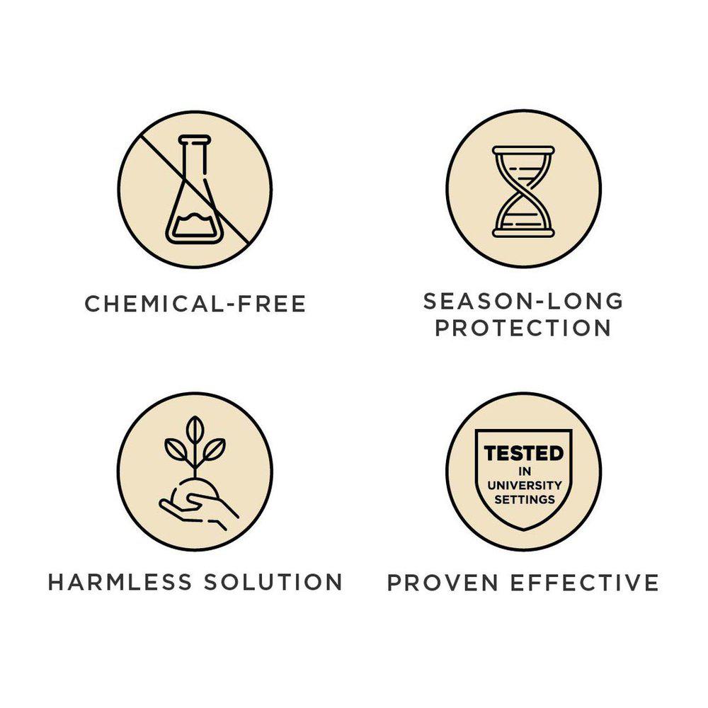 Tickless tursko aktiv